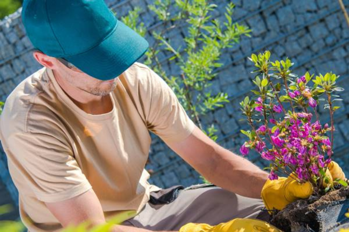 Design And Planting Services